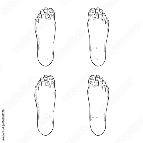 Footprints vector illustration on white background showing shoe and sandal prints