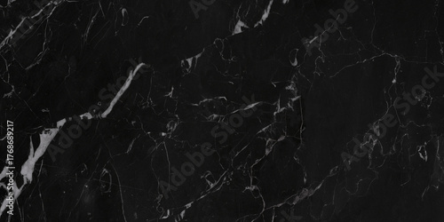Vászonkép black and white veined marble background