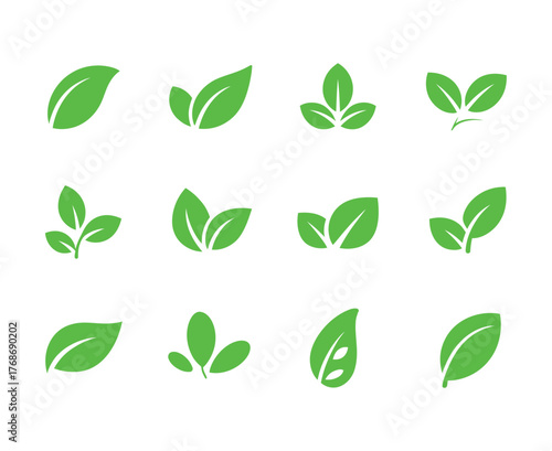 Nature inspired leaf set icon isolated background, foliage design
