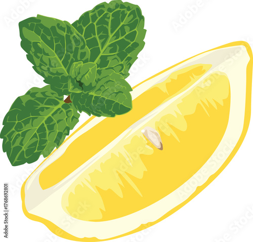 A vibrant illustration of a lemon wedge with visible seeds, accompanied by a sprig of fresh green mint leaves.