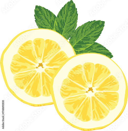 Two lemon slices are displayed with fresh green mint leaves behind them, creating a refreshing and vibrant composition.