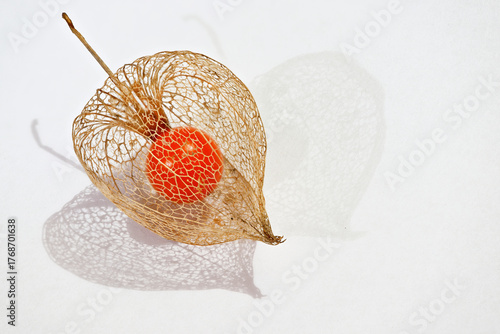 Ripe orange fruit in the dry husk of Physalis, autumn decoration plant on white background