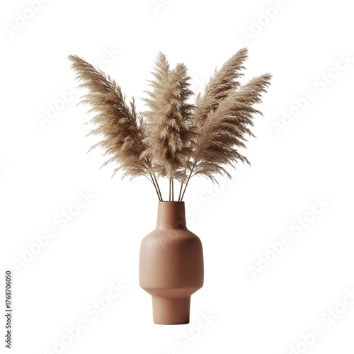 Elegant Pampas Grass in Terracotta Vase for Interior Decoration on Transparent Background