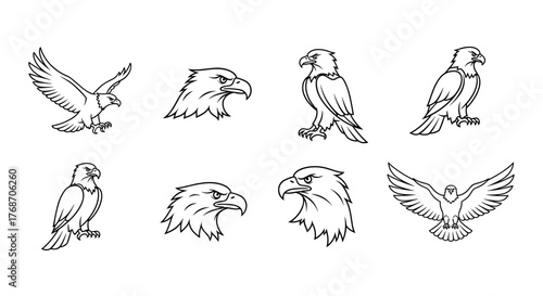 Collection of stylized eagle illustrations, featuring majestic birds in various poses and perspectives, including full body shots, flying eagles, and detailed head profiles, rendered in a clean