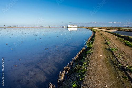 Wallpaper Mural Flooded field near Isla Mayor reflects buildings and vegetation Torontodigital.ca