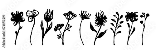 A set of botanical abstract silhouettes of plants and flowers. Vector graphics.