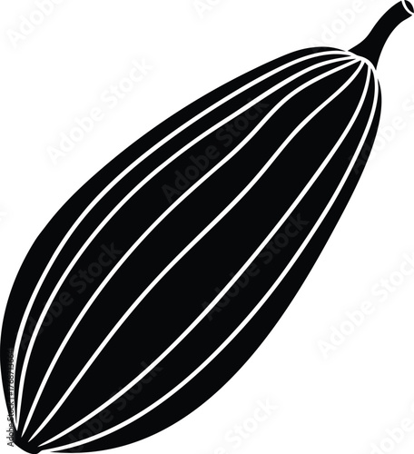 Black Bottle Gourd Vector Illustration Agriculture Food Veggie Crop Vegetable Vegan Diet Natural Health Ingredient Culinary