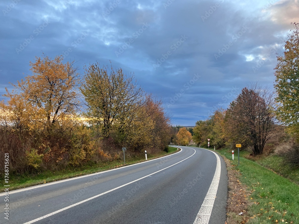 Fototapeta premium Scenic road surrounded by colorful autumn trees and fallen leaves. A peaceful fall landscape capturing the beauty of the changing season — perfect for travel, nature, and countryside photography.