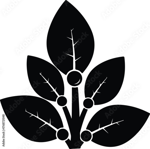 Silhouette abstract plant with leaves and berries vector illustration