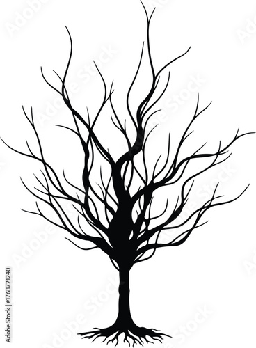 Silhouette bare tree with many branches on white vector illustration