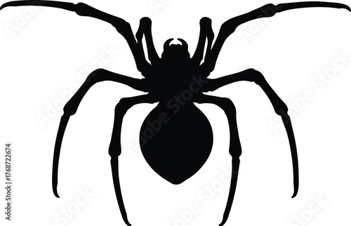 Silhouette large spider creepy insect arachnid isolated vector illustration