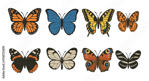 Colorful butterfly collection showcasing diverse wing patterns and vibrant colors