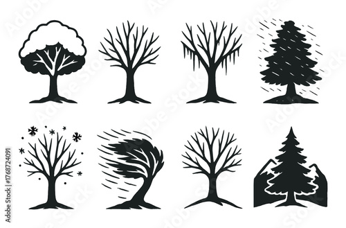 Silhouette trees depicting seasonal changes and weather patterns