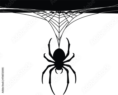 Silhouette of spider hanging from web on white background vector illustration
