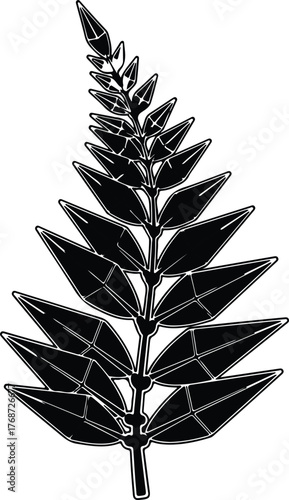 Silhouette tropical fern frond plant isolated design element vector illustration