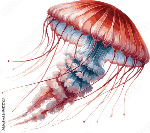 Vector watercolor realistic illustration of a jellyfish