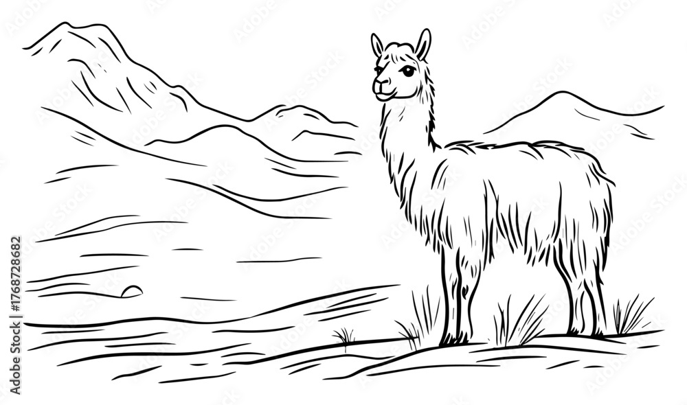 Naklejka premium Llama in Andean mountain landscape – hand‑drawn vector illustration of alpaca standing in highland scenery