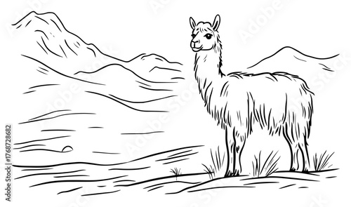 Llama in Andean mountain landscape – hand‑drawn vector illustration of alpaca standing in highland scenery