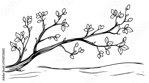 Blossoming tree branch sketch – delicate spring twig with young leaves, minimalist botanical line art vector illustration