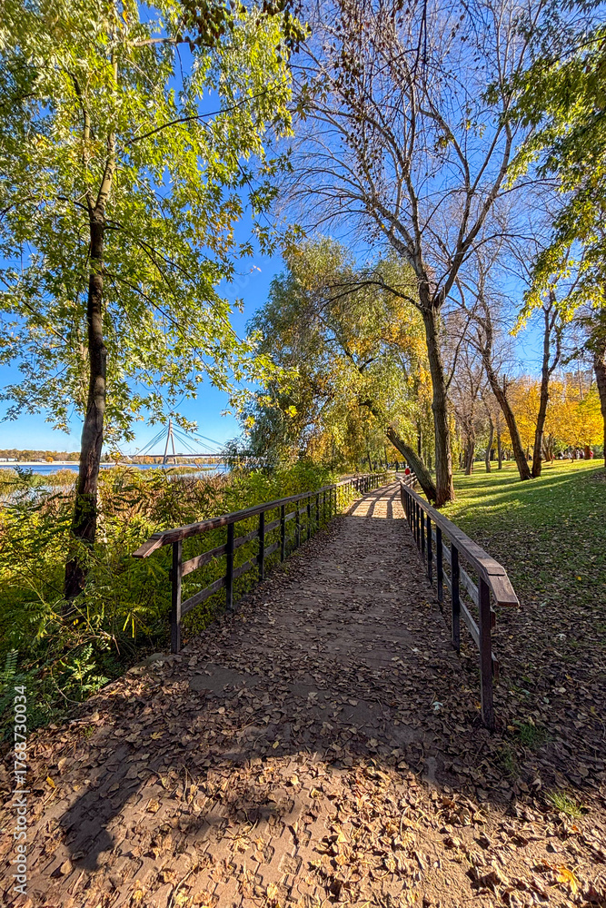 Fototapeta premium Golden yellow leaves blanket the park in Kyiv, Ukraine, glowing softly under the autumn light and creating a serene, fairy-tale atmosphere.