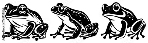 Cartoon frog mascot set – funny amphibian characters collection, bold vector illustration