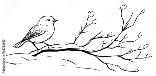 Small bird on spring twig sketch – delicate hand‑drawn vector illustration of songbird perched on branch