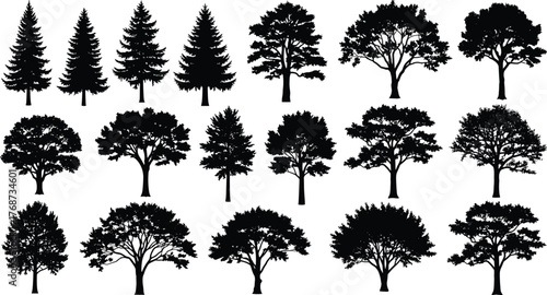 Massive Tree Vector Mega Bundle of Christmas Pines, Forest Silhouettes, Cartoon Plants, Tropical Palms, and Tree Growth Stages for Diverse Design Projects.