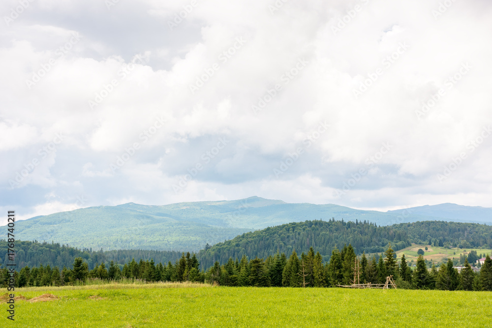 Fototapeta premium landscape in mountains with forest behind the field. summer nature with cloudy sky. countryside background