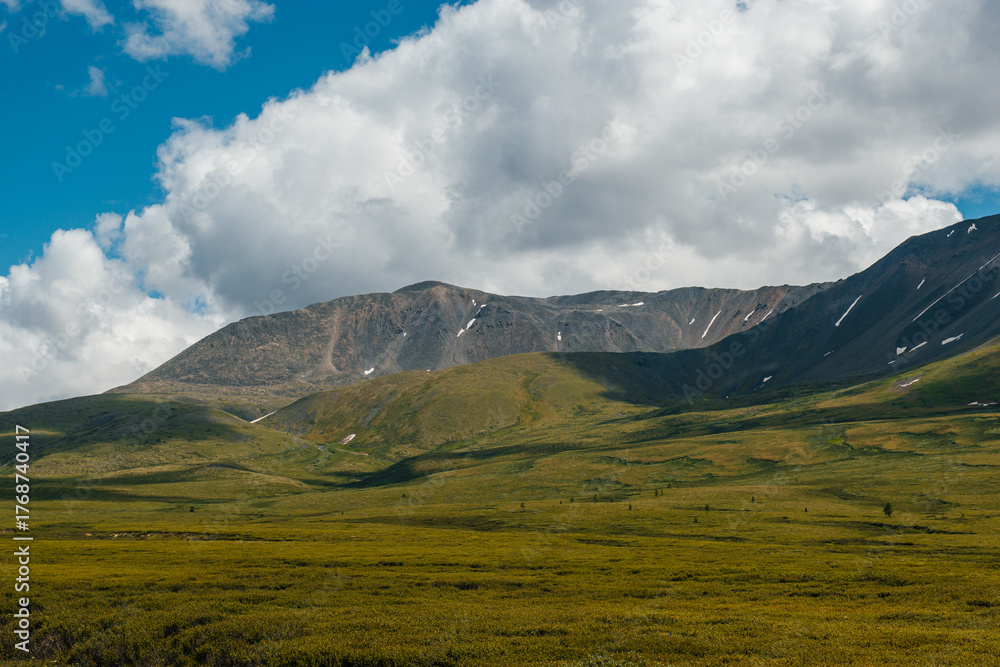 Fototapeta premium A green plateau in the middle of the Altai mountains in sunny summer weather, Russia