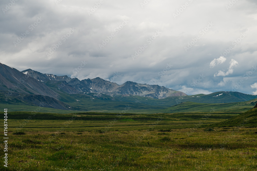 Obraz premium A green plateau in the middle of the Altai mountains in sunny summer weather, Russia