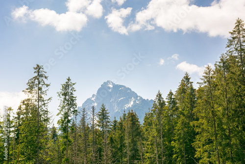 landscape of mountain in poland. nature with forest and peak under sky and cloud in spring