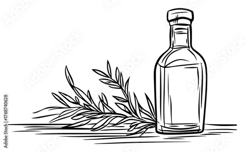 Olive oil bottle with branch, minimalist culinary sketch, Mediterranean flavor for kitchen and recipes