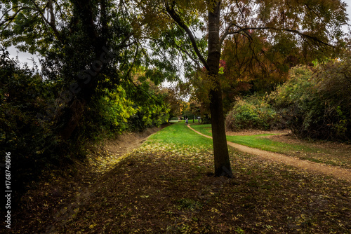 footpath in the park