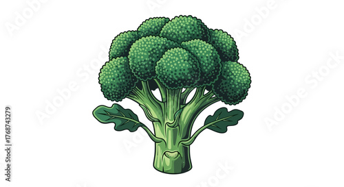 A close-up illustration of a fresh, vibrant green broccoli head with its leaves.