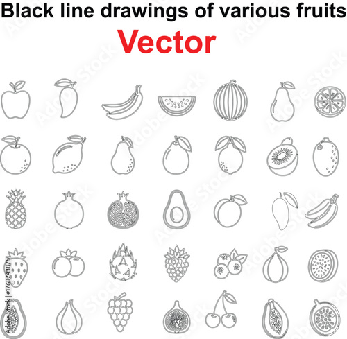 A collection of detailed black line drawings showcasing a variety of fruits such as banana, orange, strawberry, grapes, pineapple, mango, blueberry, raspberry perfect for graphic design elements.