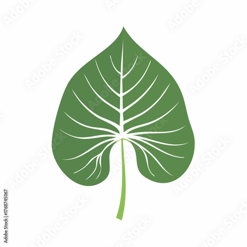 green leaf vector