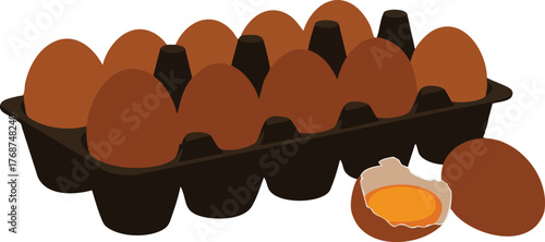 Brown eggs in black carton with one cracked egg showing yolk fresh natural food illustration vector 
