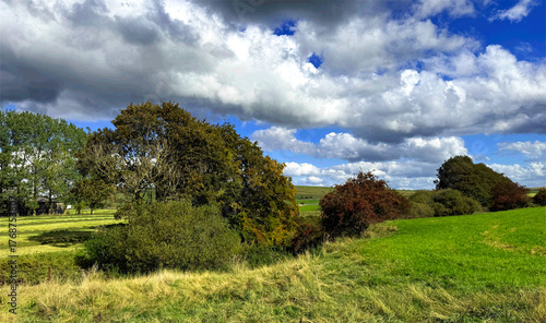 A tranquil sweep of countryside unfurls, where vibrant greens meet drifting cloud light. Trees punctuate the open land, inviting stillness and breath near, Addingham, Ilkley, UK