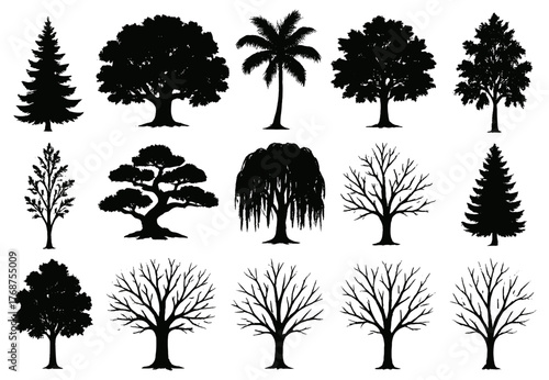 Variety of tree silhouettes: pine, palm, oak, willow, and more