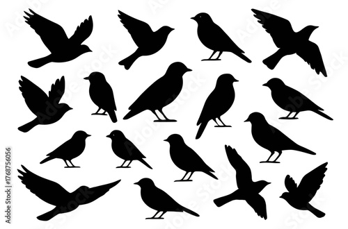 Silhouette collection of various bird species in flight and perched