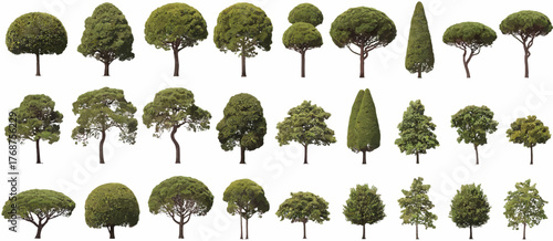 Collection of green trees in nature illustration