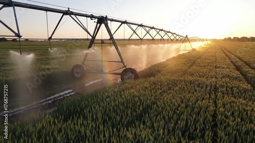 Irrigation systems move gracefully across vast fields, nourishing the vibrant green plants as the sun sets, casting a warm glow over the landscape. This magical evening highlights nature's beauty.