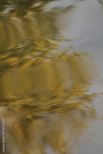 tree, forest, sky, winter, nature, branch, cold, snow, branches, woods, white