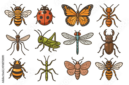 Colorful collection of insects featuring butterflies, beetles, and ants