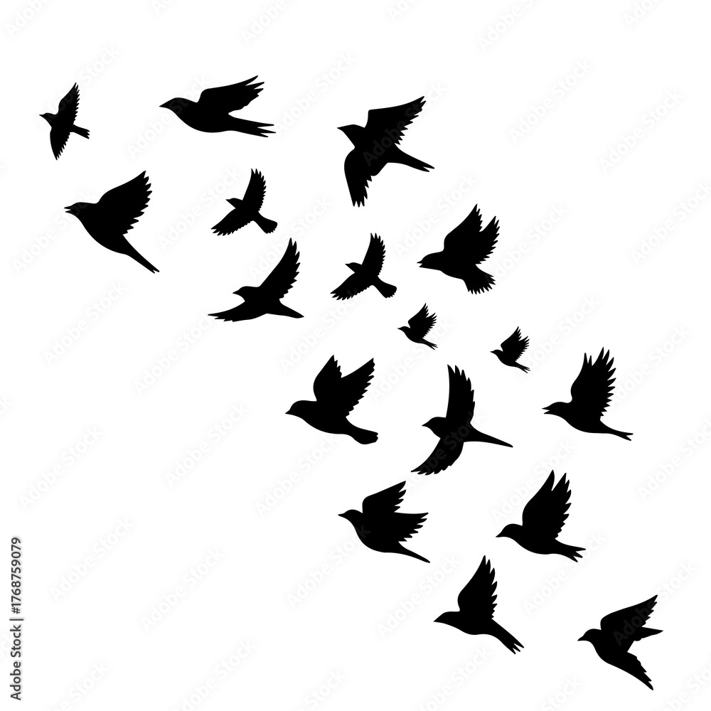 Obraz premium Elegant flock of birds in flight artwork perfect for conveying freedom and nature's beauty, ideal for inspirational designs and symbolizing migration or movement