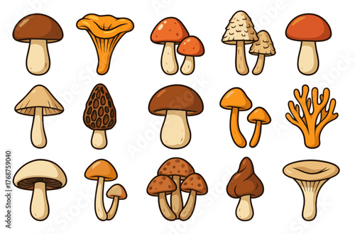 Variety of cartoon mushrooms on white background