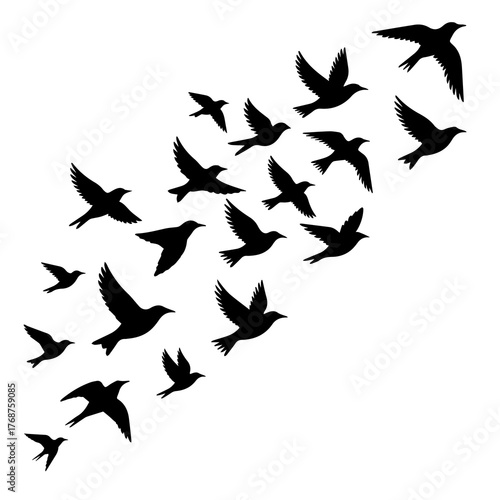 Dynamic flock of birds soars upward in elegant silhouette, ideal for freedom, nature, or design concepts with a sense of movement and ethereal beauty