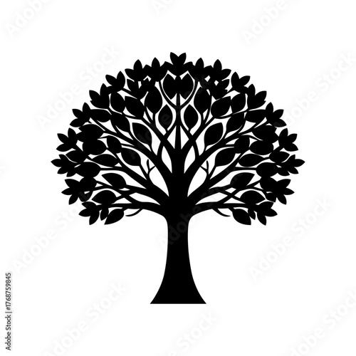 A ficus tree silhouette vector illustration