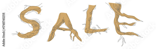 Font composition of letters from the roots of forest trees. Words for the autumn holiday Halloween. Autumn mood of a leafless forest.