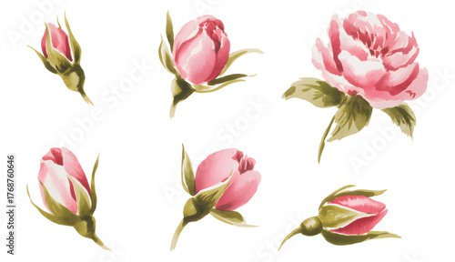 Soft brush watercolor wild roses in bloom. Rustic pink wild roses with delicate leaves.